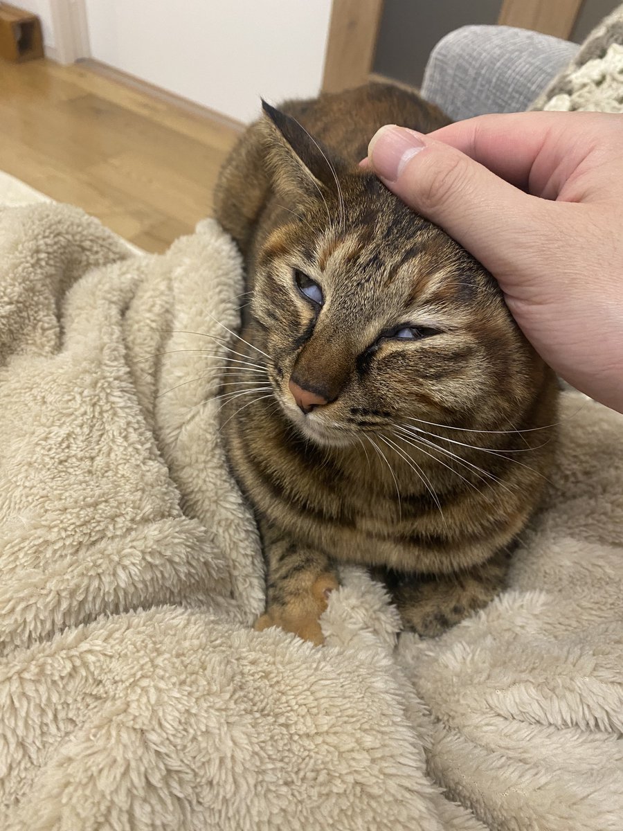 minene_go's tweet image. 可愛いね