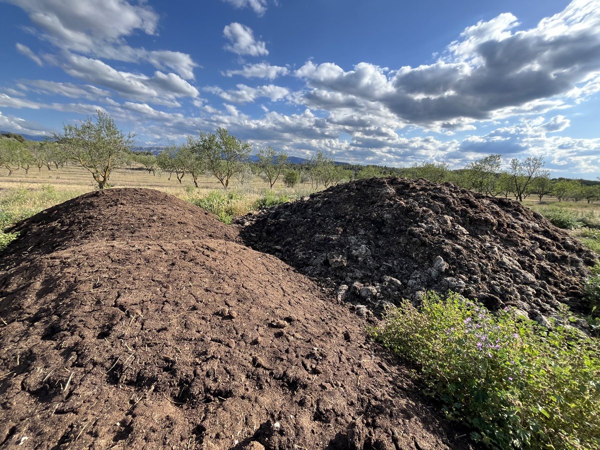 almolive_agro's tweet photo. ♻️🌱 La agricultura regenerativa es el futuro

Por eso en todas nuestras explotaciones implementamos materia orgánica, compost y mulching, buscamos una #EconomiaCircular reutilizando aquellos residuos orgánicos para alimentar de nuevo la tierra, nutrirla y preservarla https://t.co/sOzEJ7OgOA