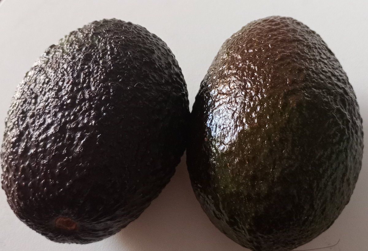 アボカド