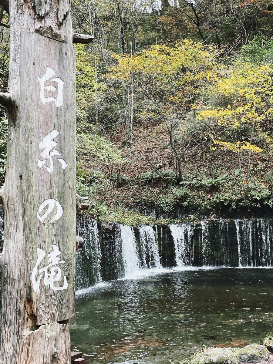 fcechigotsumari's tweet photo. 【#twentyui】
こんばんは🌛
山下由衣です。
先月、浅間山キャンプ場へ行きました!
何とびっくり、オートサイトは貸切でした🚗
続きはこちら>>>https://t.co/Rx4uzQ2WNR
#FC越後妻有
#女子サッカー
#おじいちゃんおばあちゃんの笑顔を創り出す https://t.co/1nKLwUeP8v