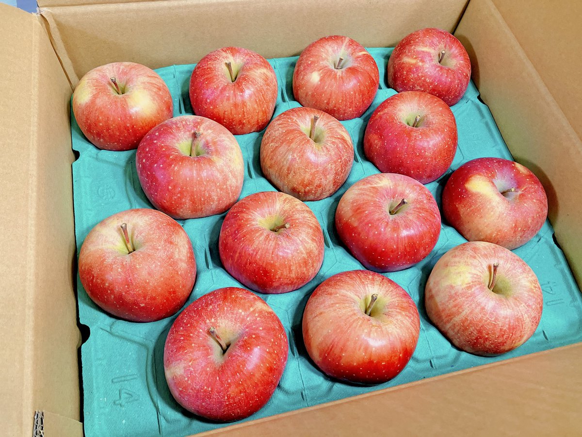 アルパカごりらぶ(*´▽`*)♪ アルパカゴリラ (@alpaca_gorilla_) / Posts / X