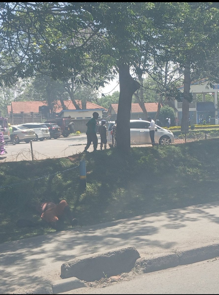 AokoOtieno_'s tweet image. Wait, nganya za George Ruto zina park kwa Army Baracks?

Moi Airbase! WTF,

Our military now reduced to protecting Matatu? 

Ah, General Ogolla... Arise and see your boys 

Maze sai kukiwa na attack, tunalimwa ka ziet 

Our army is losing its verve

State of The Nation Kumamaye!