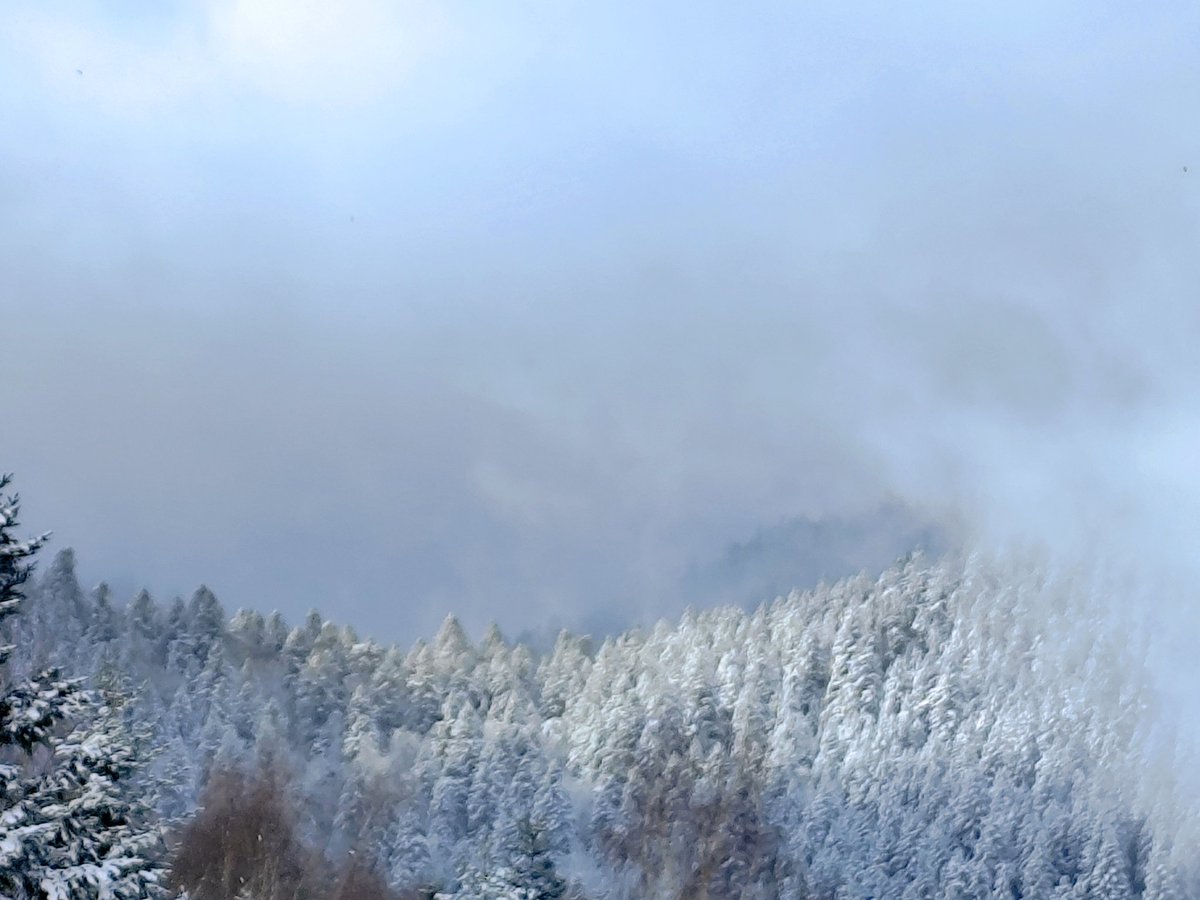 EdithPY2's tweet image. #HautesVosges