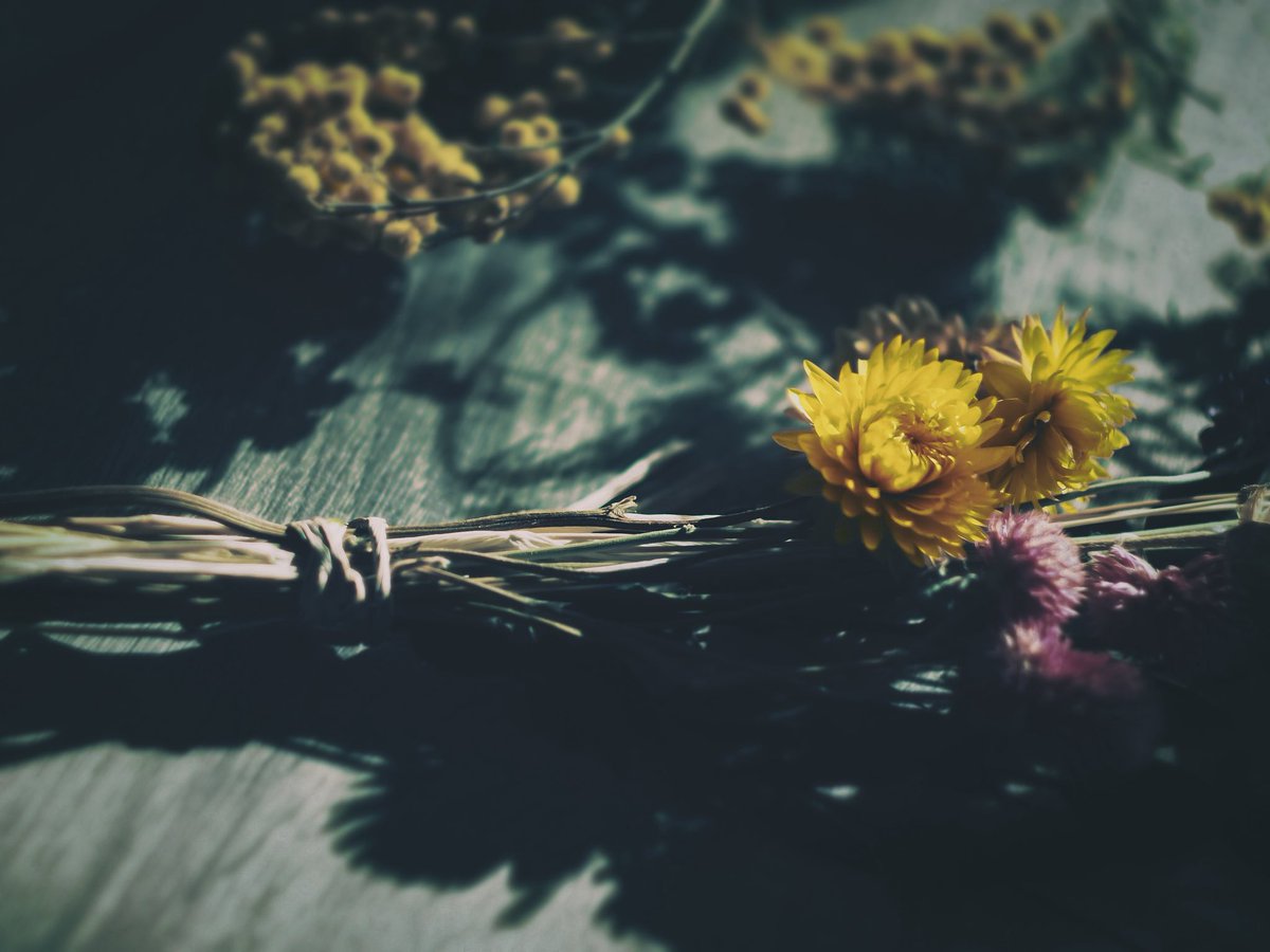 Mikage_0916's tweet image. 