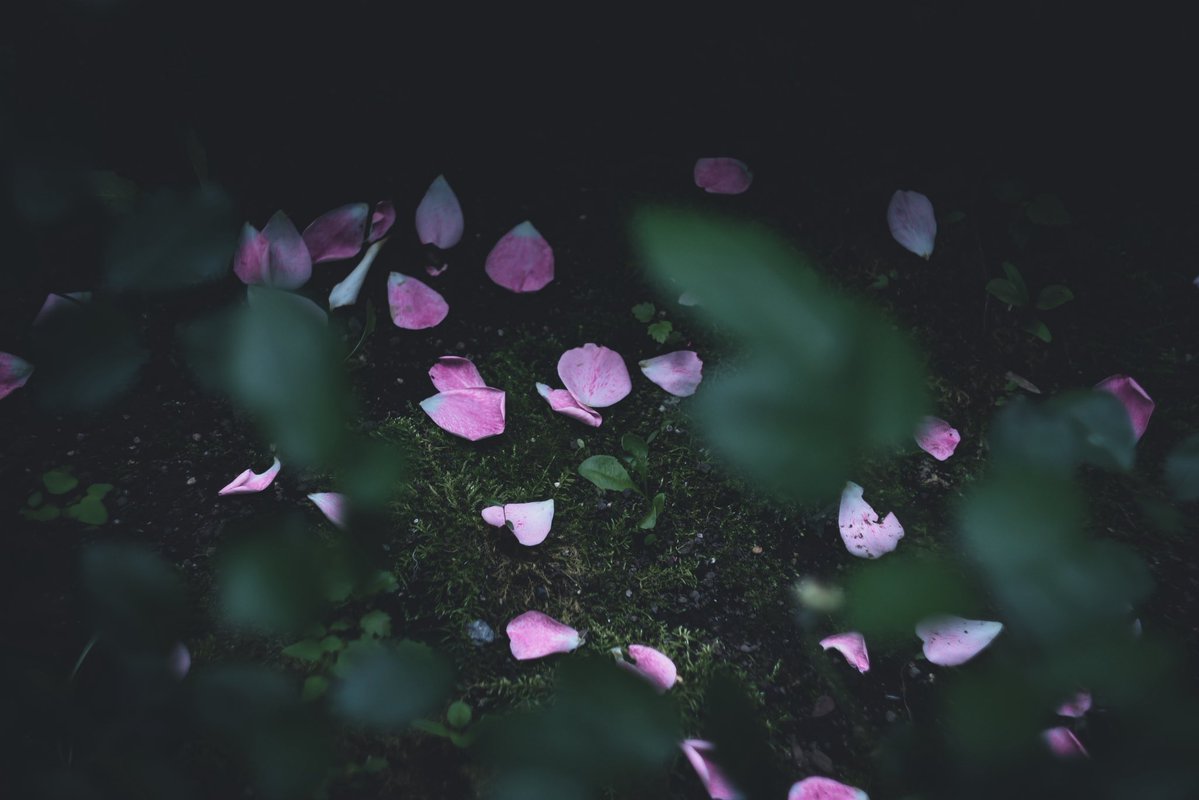 Mikage_0916's tweet image. 