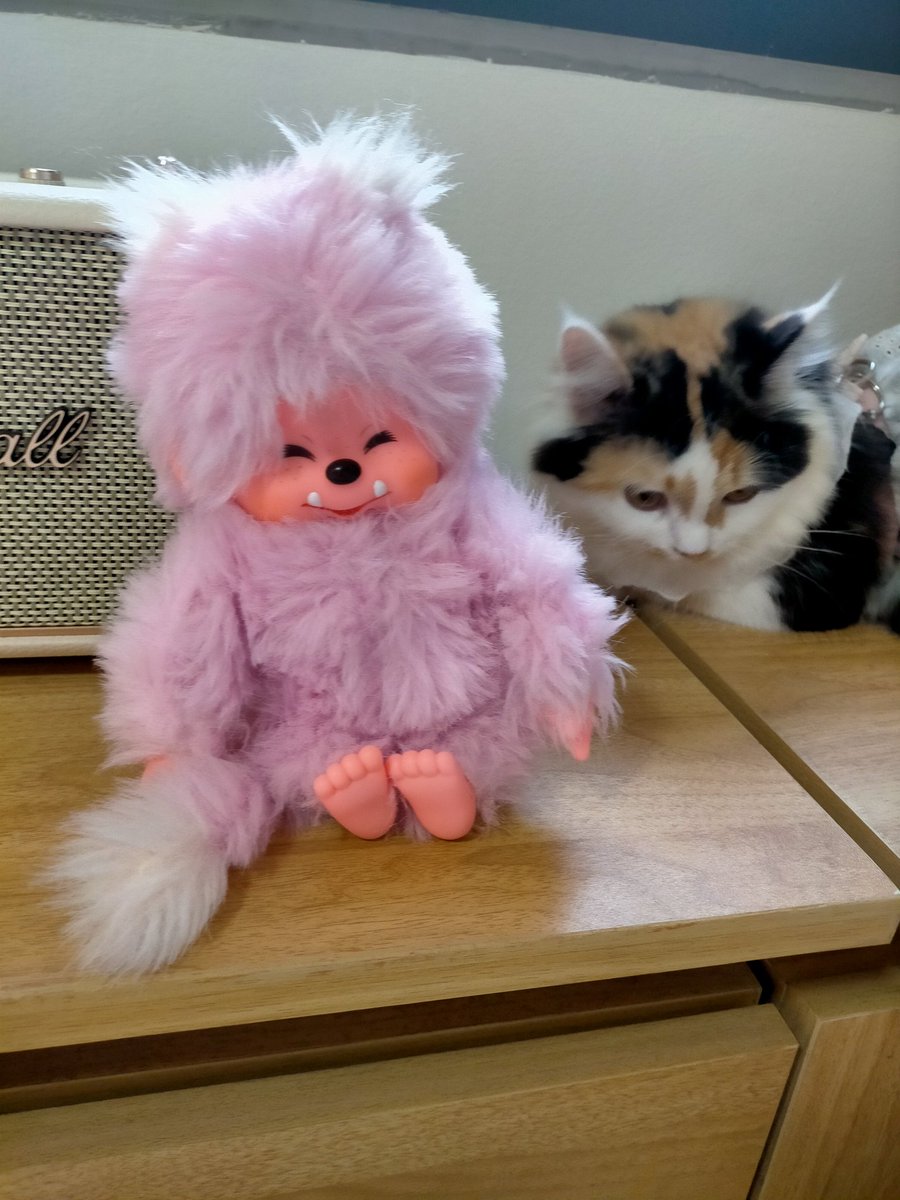 optimusempress's tweet image. 😈x😸