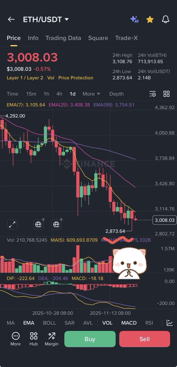 MitaoCatCS tweet media