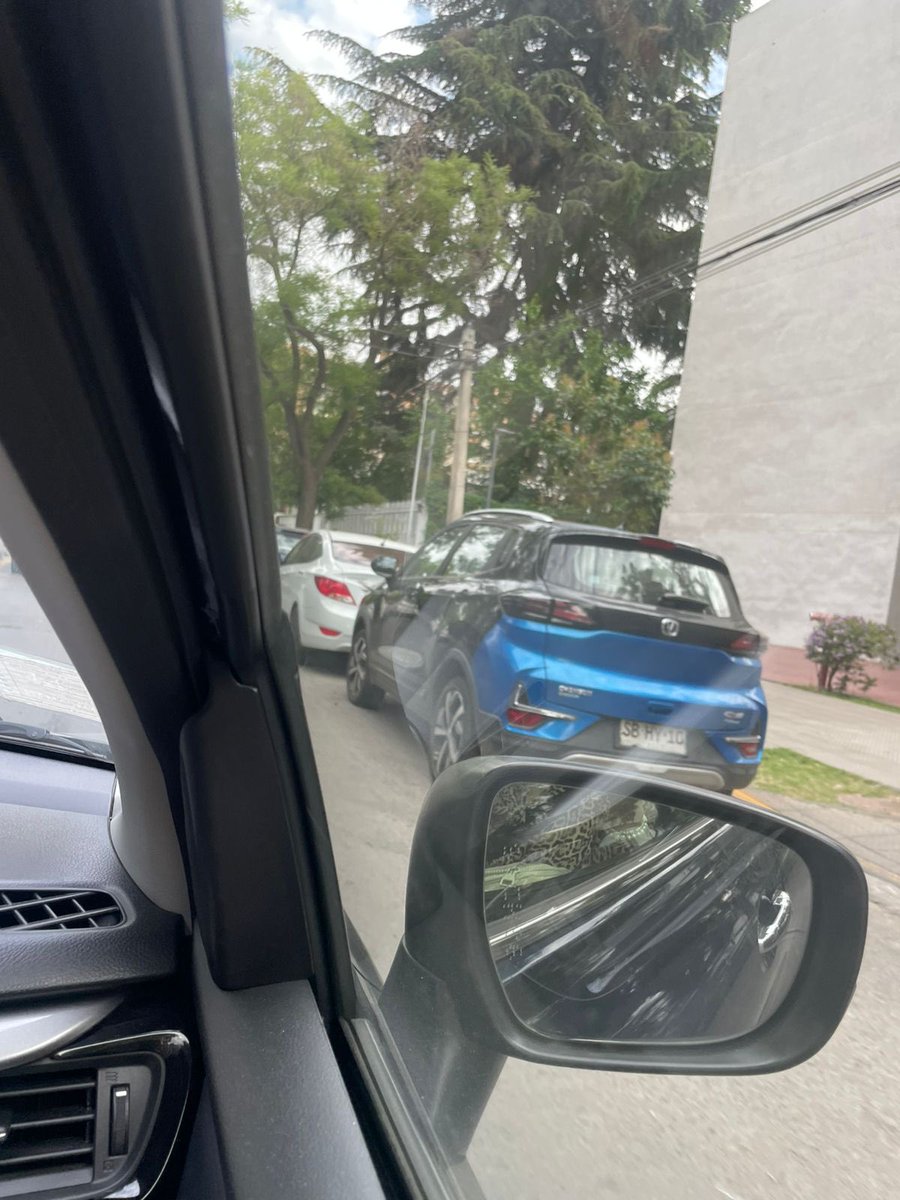 Rodrigo Vallejos tweet media