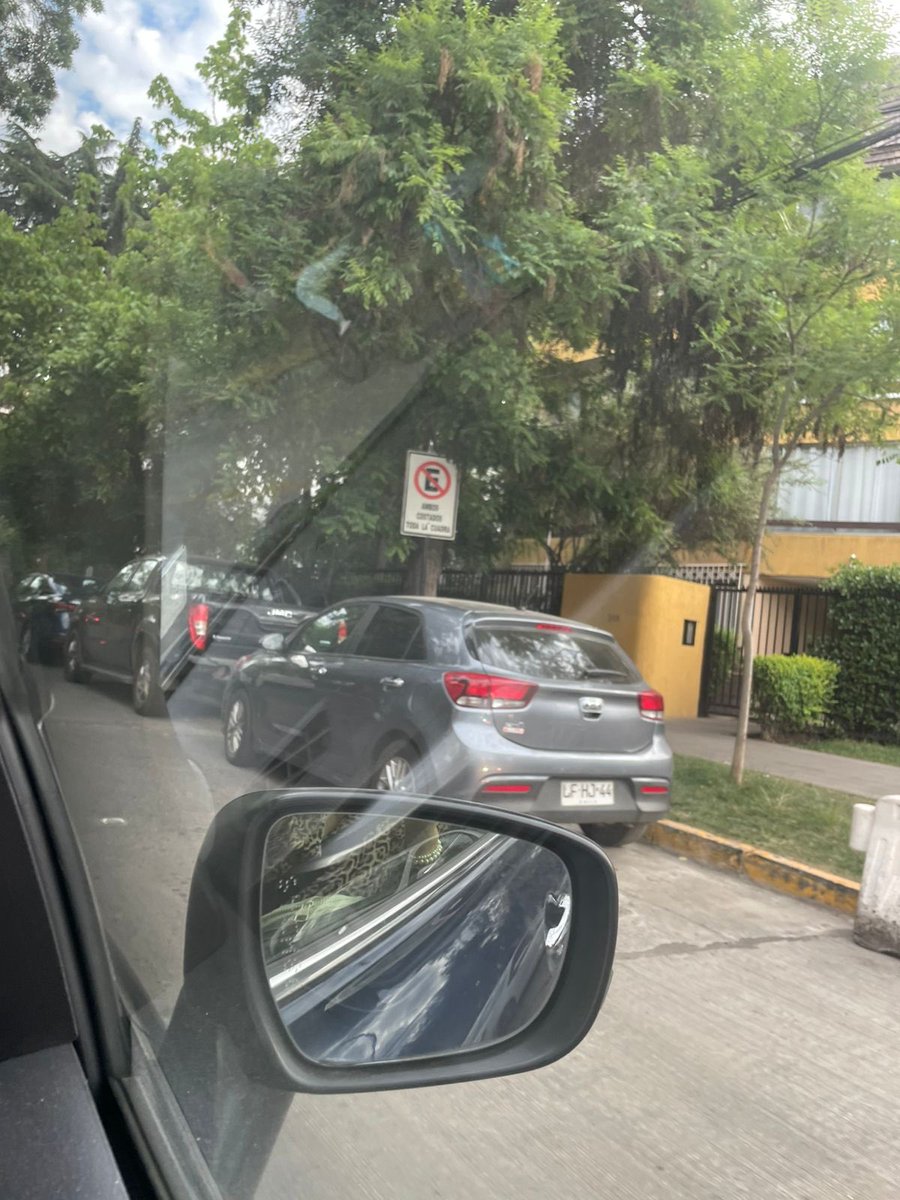 Rodrigo Vallejos tweet media