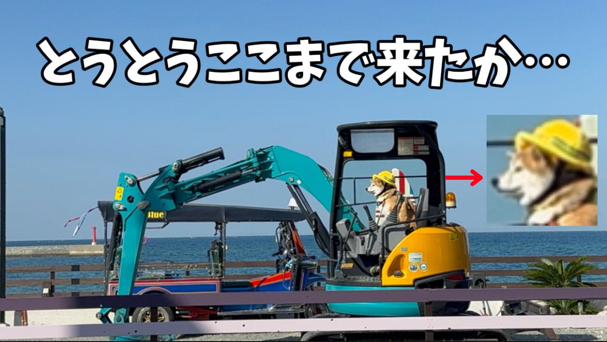 もちごめ兄弟 (@mochigome810) / Posts / X