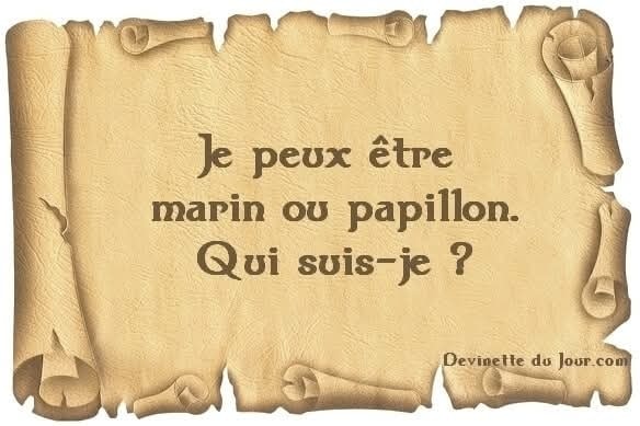PlanPlan-Bilou tweet media