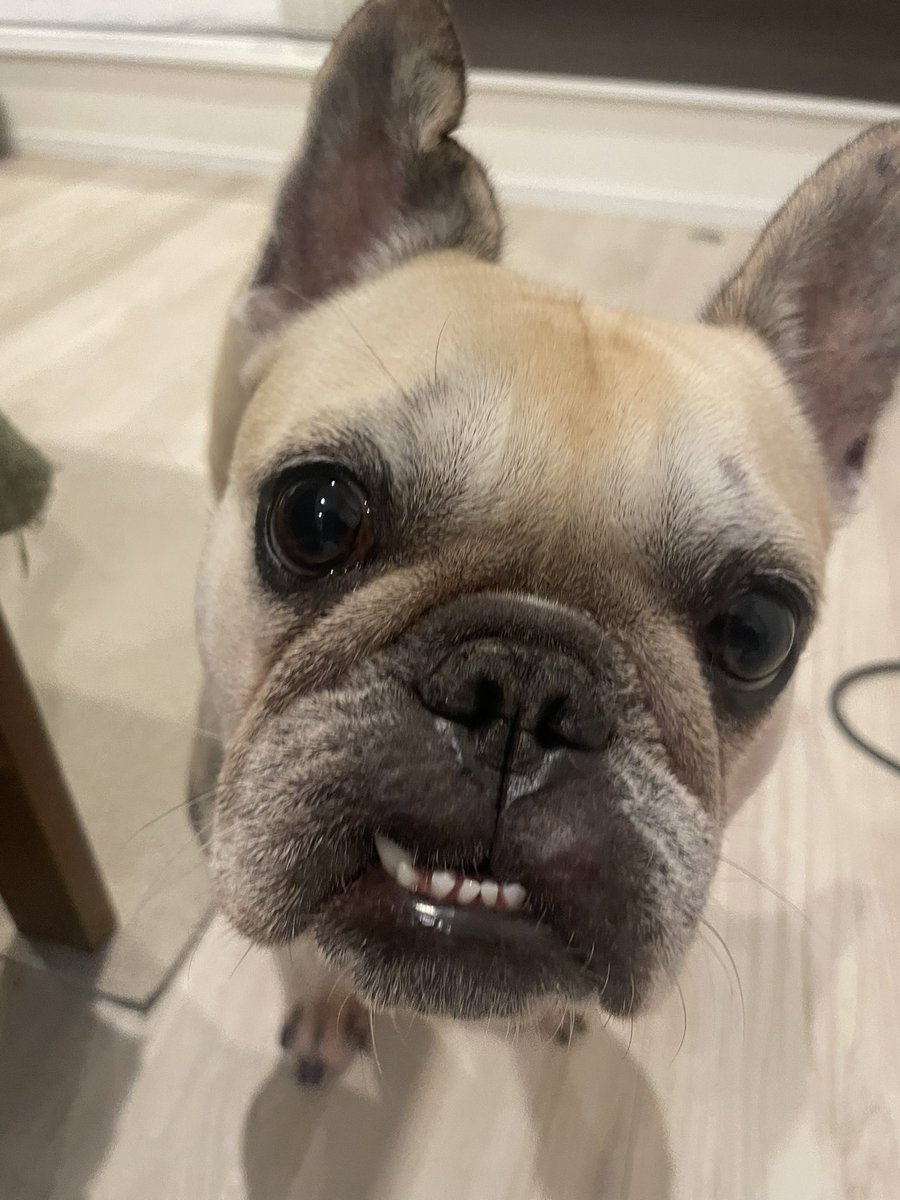 みきちゃんページ みきちゃん (@miki6017mk) on X