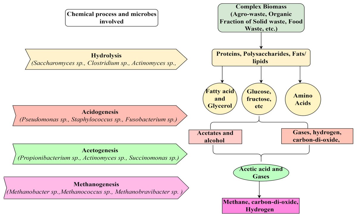 Ferment_MDPI's tweet image. “A Review of Basic Bioinformatic Techniques for Microbial Community Analysis in an #Anaerobic Digester” explores #metagenomics, #bioinformatics methods, and AI integration to optimize #biogas production.

🔗 doi.org/10.3390/fermen…