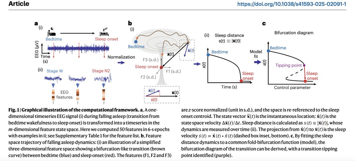 calc_ulus's tweet image. Both on nature neuroscience

“Falling asleep follows a predictable bifurcation dynamic” Published: Oct 2025  nature.com/articles/s4159…

“A ubiquitous spectrolaminar motif of local field potential power across the primate cortex” Published: Jan 2024 nature.com/articles/s4159…