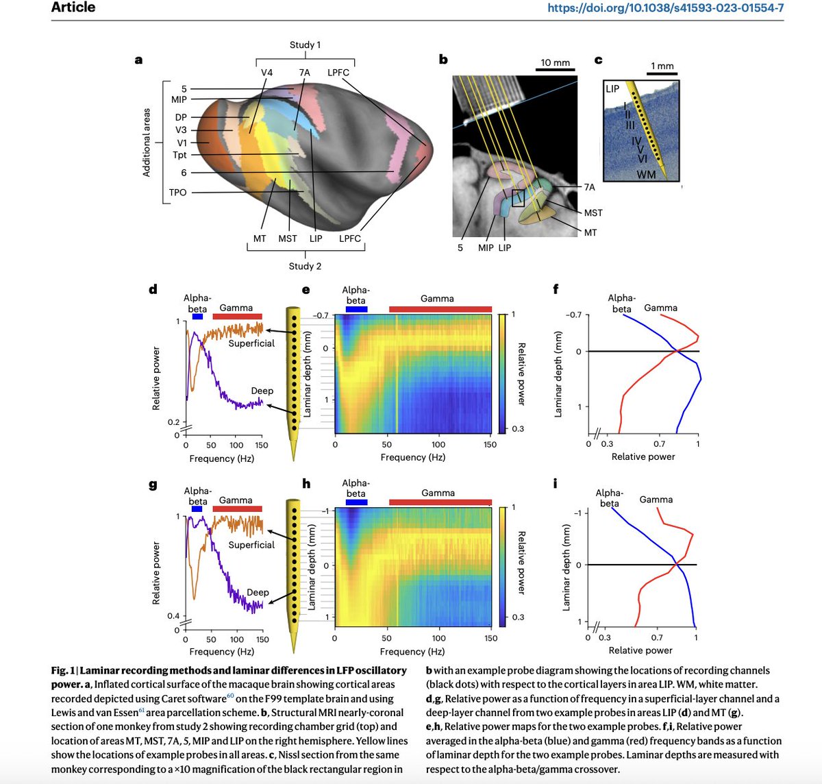 calc_ulus's tweet image. Both on nature neuroscience

“Falling asleep follows a predictable bifurcation dynamic” Published: Oct 2025  nature.com/articles/s4159…

“A ubiquitous spectrolaminar motif of local field potential power across the primate cortex” Published: Jan 2024 nature.com/articles/s4159…