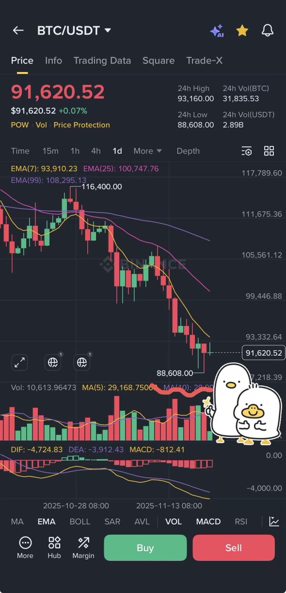 MitaoCatCS tweet media