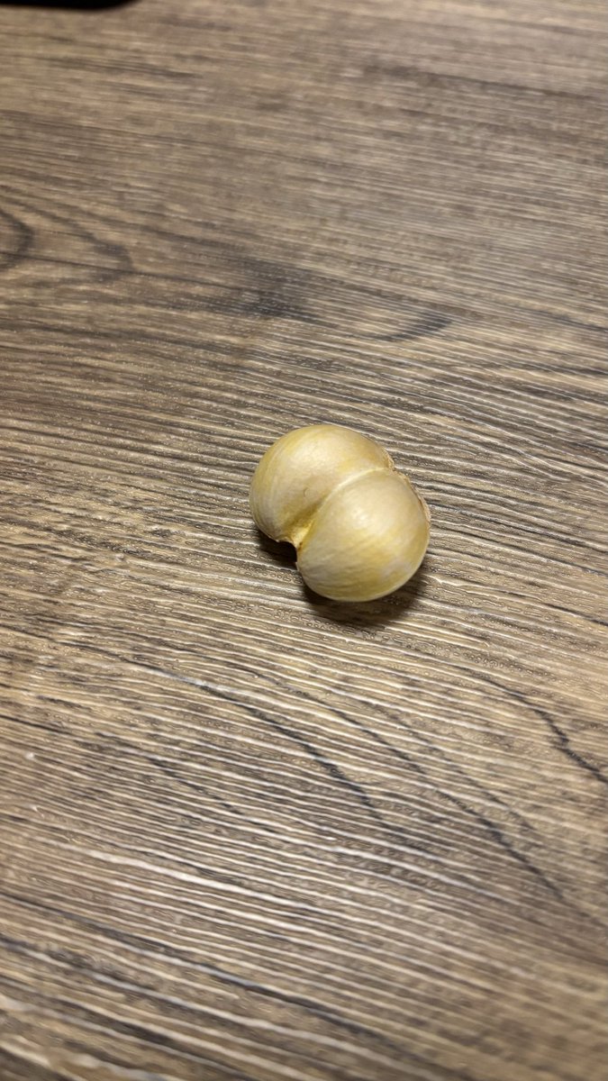 こんばんは
開所日のお知らせ

11月29日(土)11月30日(日)
10時〜16時
宜しくお願いします

今年はぎんなんがたくさんできていて珍しいものを見つけました
日本では珍しく縁起物で
夫婦円満、夫婦ぎんなんとよばれてるみたいです🫶