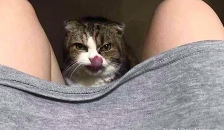 KumarRahul2549's tweet image. When siggy loads into the wrong server😂😂

#RitualNet #Gritual #RitualCommunity #DiscordRoles #RitualNetwork #Web3Fam #CommunityVibes #RitualJourney #Web3Community