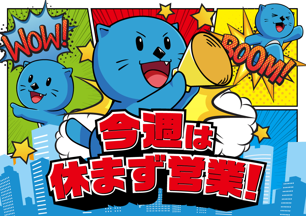 こんばんは🎆 店長のタカハシです🦝 ㊗️1⃣1⃣月周年記念月間