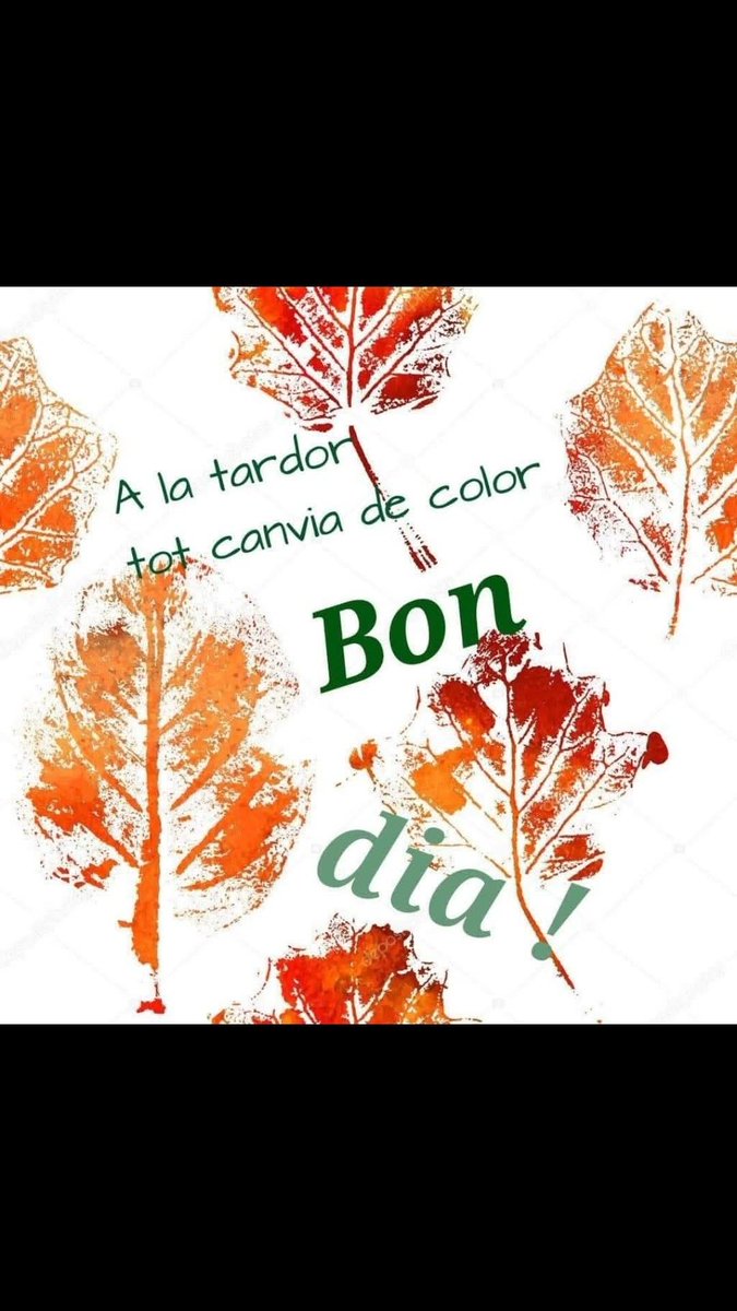 <a href="/pilotaipunt/">Amb B de Barça</a> <a href="/niradya/">niradya ||*|| 🐈</a> <a href="/palobas/">Paloma A. Basora</a> <a href="/elgranfus/">Oscar</a> Bon dijous famili 😘😘😘😘♥💙♥💙♥💙