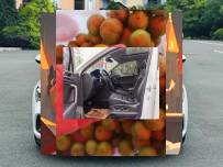 الحربية⚕. tweet media