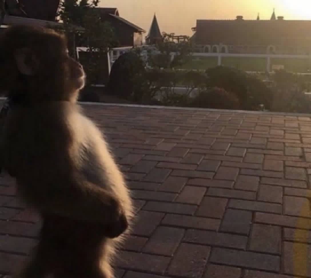 tomilola_ng's tweet image. Gm Gm

I'm building software solutions for first-time founders at Tomilola.ng.

If you're skeptical about your million-dollar idea, still reach out to me. My product designer and I will help shape the idea into a million-dollar solution.

The sky is no longer a limit.