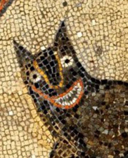 GrecianGirly's tweet image. When your dog hears a bag of treats being opened…