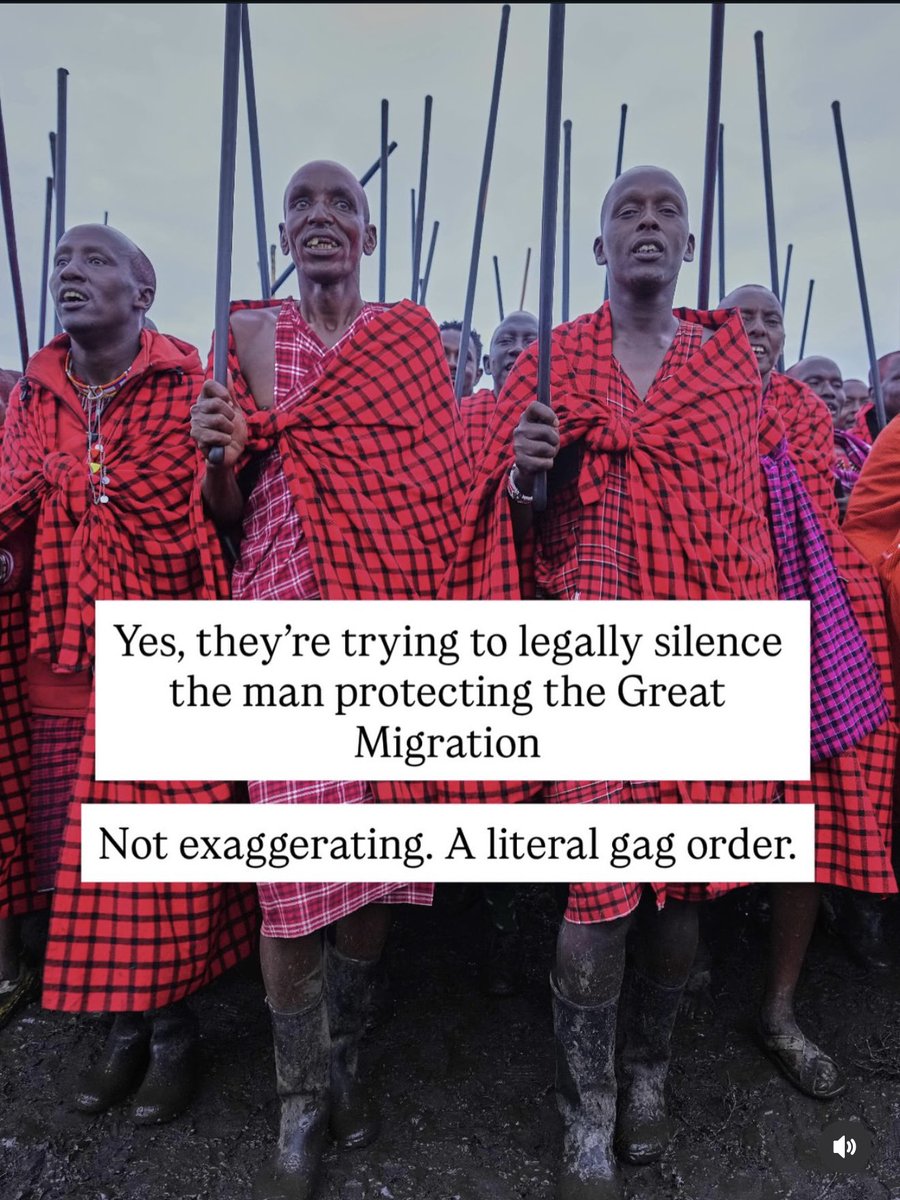 Nyandia_G's tweet image. A major development in the Maasai Mara case, and it’s deeply alarming.
The Maasai elder leading the fight to protect the Great Migration corridors has been legally gagged after Marriott’s lawyers pushed for a gag order.

Yes. Silenced in court. Why?
Because his campaign is…