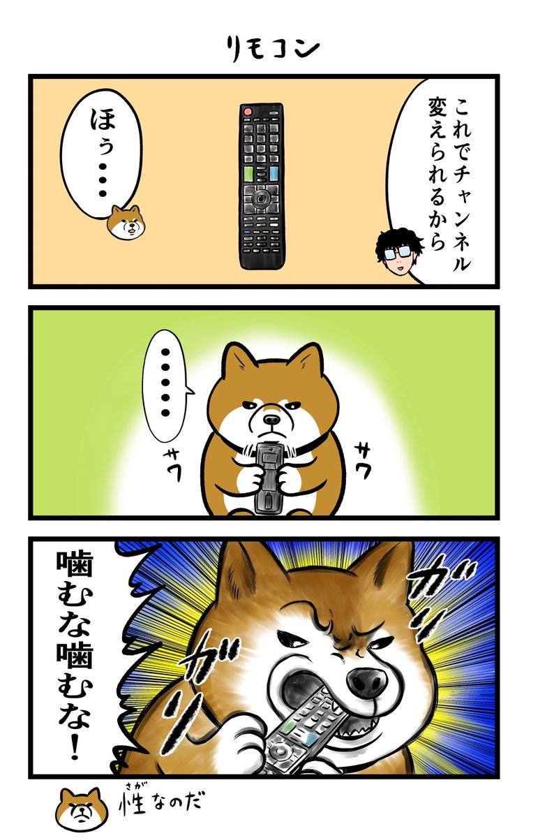 今日も今日とてケンちゃんです🐸🐕

#ケンちゃん 