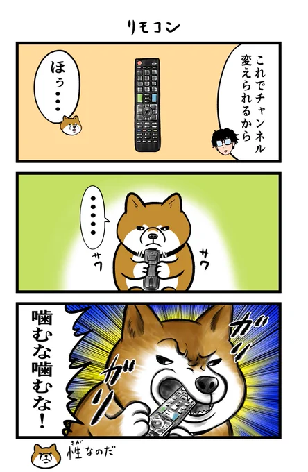 今日も今日とてケンちゃんです🐸🐕

#ケンちゃん 