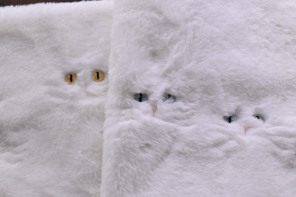 magical_meow_'s tweet image. ひそむ猫ちゃんスヌードが23日よりネットショップで販売スタートになります🐈‍⬛🐈‍⬛🐈‍⬛✨