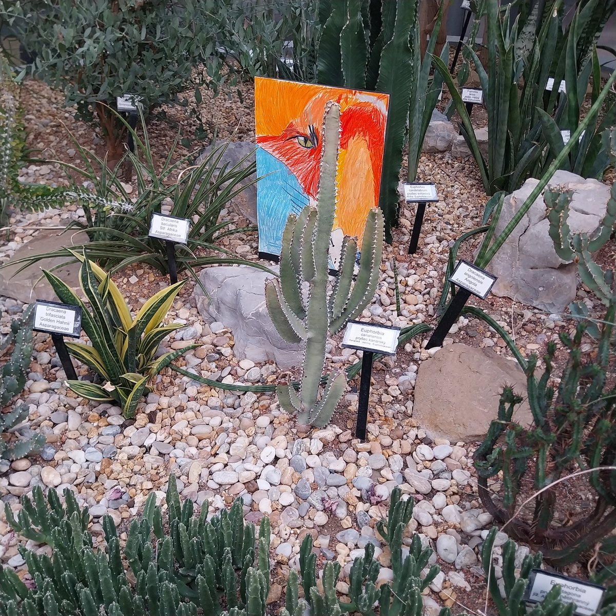 Radmila Kourilova (@radmila_slecpa) on Twitter photo 