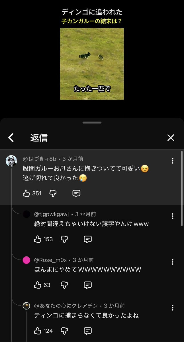 股間ガルーお母さんに抱きついてて可愛い☺️