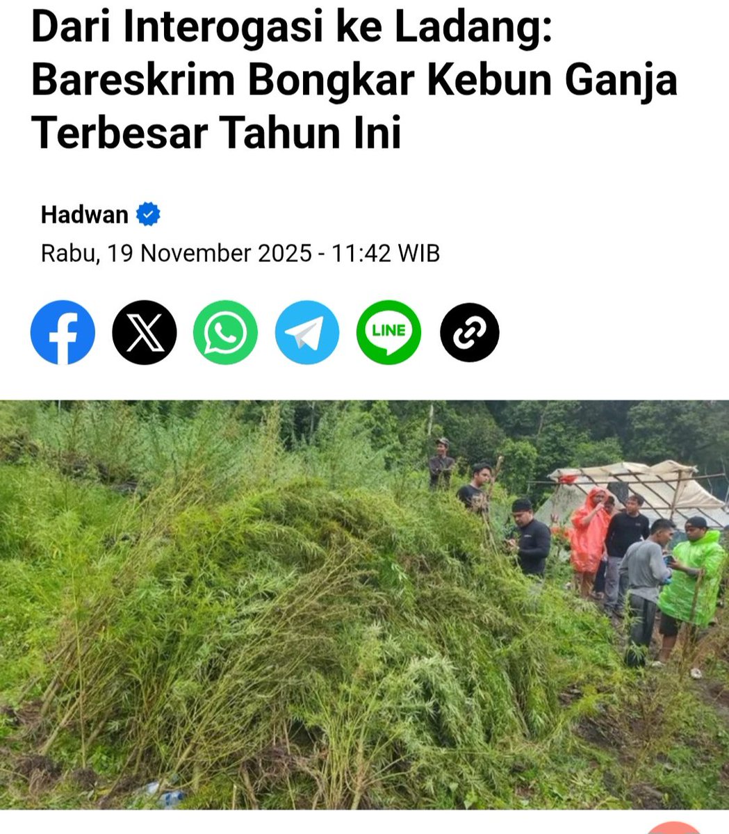 Jhon Sitorus tweet media