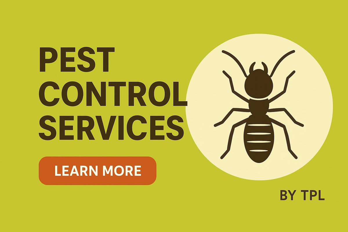 TPLPestControl's tweet image. ہماری پیست کنٹرول سروسز سے چھٹکارا پائیں مکوڑوں اور کیڑوں سے۔ 
 محفوظ، مؤثر اور فوری
 تجربہ کار ماہرین کے ذریعے
 Call: 0512303380
 website: planters.pk
#PestControl #TPLServices #PlantersPK #CockroachControl #TermiteTreatment #SafeHome #CleanEnvironment #Professional