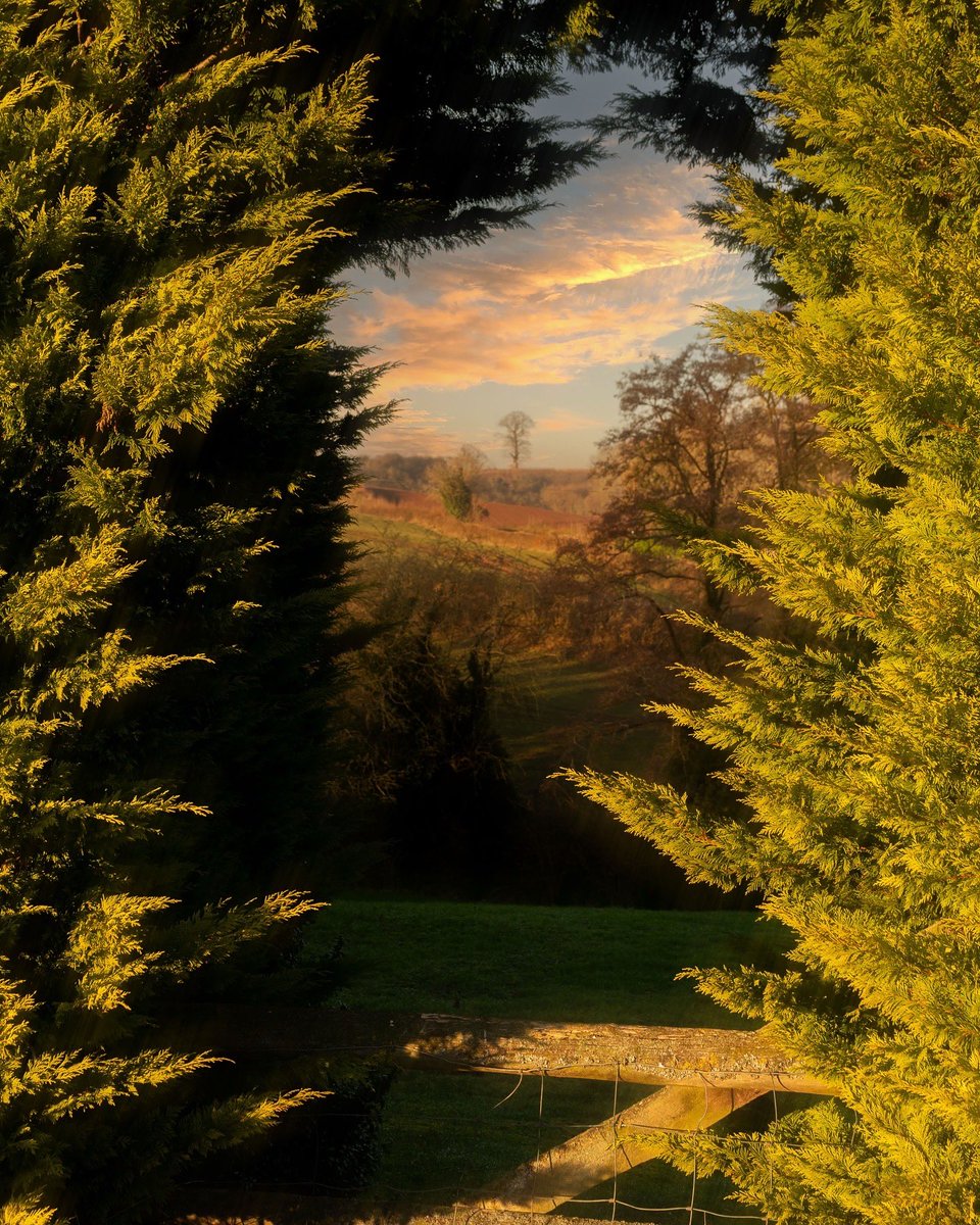 alexfelll's tweet photo. Photos I took during my walks in the English countryside https://t.co/VAirMC32mA