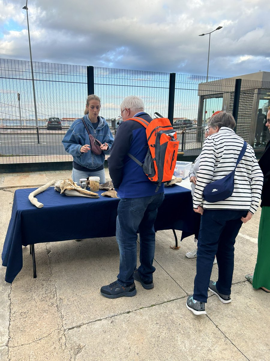 Atraca en Ceuta el crucero Borealis de la compañía Fred Olsen Cruise Line con aproximadamente 1200 pasajeros. La Fundación se encuentra nuevamente, gracias al proyecto #MuseoAbierto en colaboración con <a href="/apceuta/">Autoridad Portuaria de Ceuta - Port of Ceuta</a>, atendiendo a los cruceristas y acercando la biodiversidad marina.