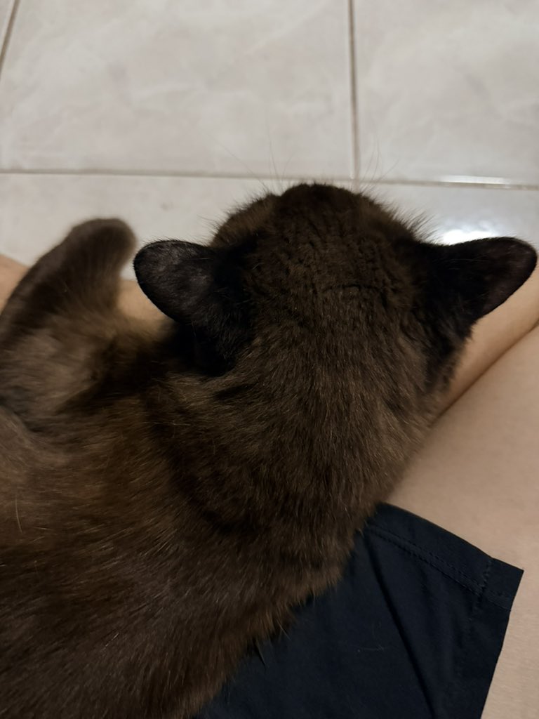นั่งตักมาสามสิบนาทีได้ละ ขาชามาก