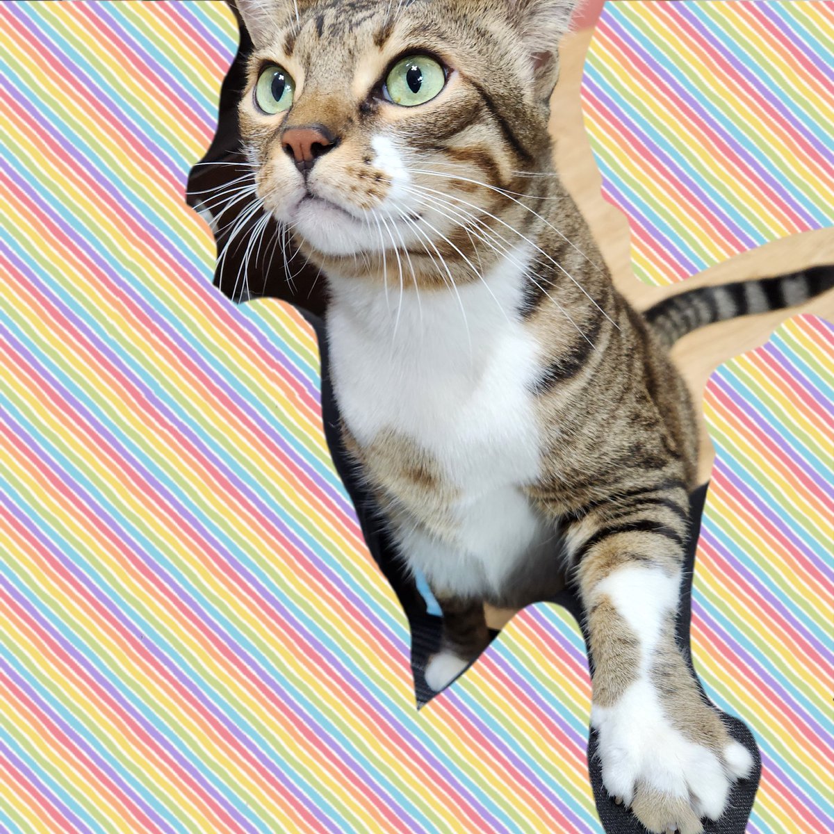 🌌의균 tweet media