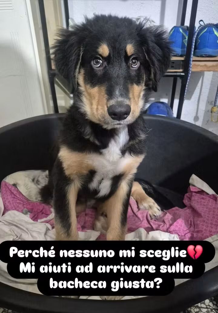 facebook.com/share/p/1KyVjH…