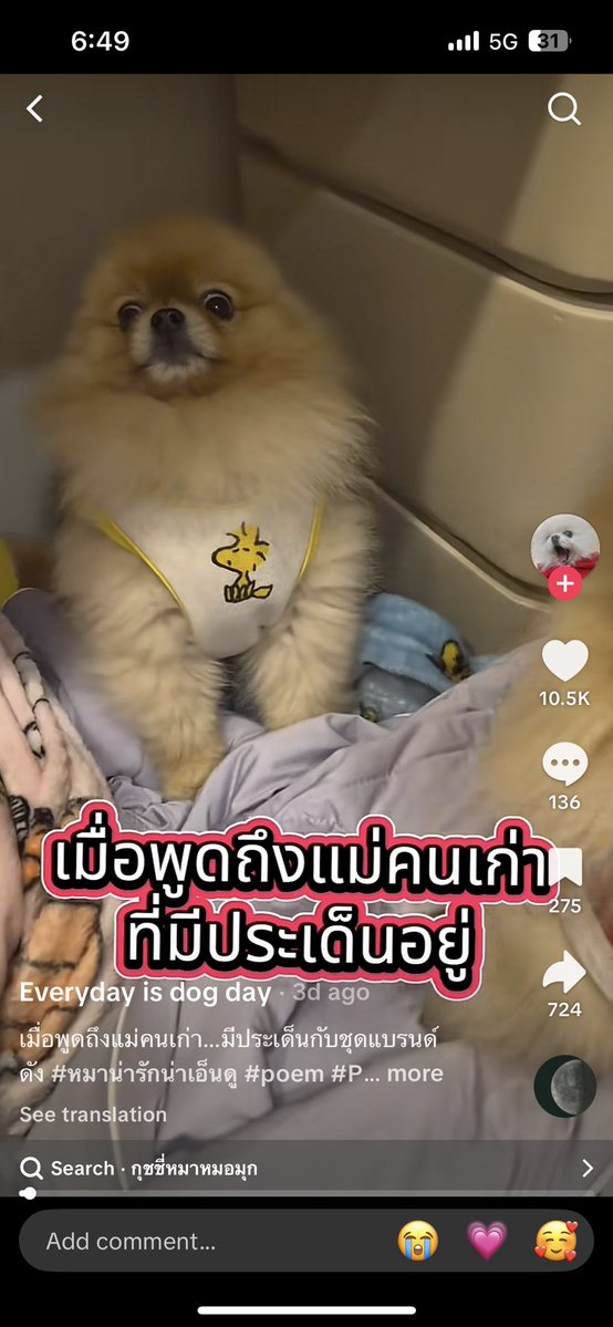 thichaapproved's tweet image. อยากรู้ว่าอันนี้จริงไหม ที่หาบ้านให้หมาตัวเก่าเพราะบอกว่าไม่มีเวลาเลี้ยง ซึ่งน้องป่วยเป็น black skin ด้วย แต่ตัวเองไปซื้อหมาใหม่ อันนี้ชั้นรู้สึกว่าไม่โอเค