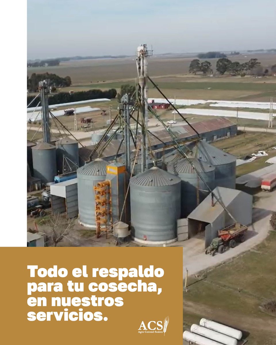 En ACS ofrecemos soluciones integrales en acopio de granos: recepción, acondicionamiento, almacenamiento, transporte y comercialización.

Consultanos:
📍Uspallata 63, Coronel Suárez.
📲 2926-477574.

#acopio #acopiodecereal #serviciosagropecuarios #mercadodegranos #ACS
