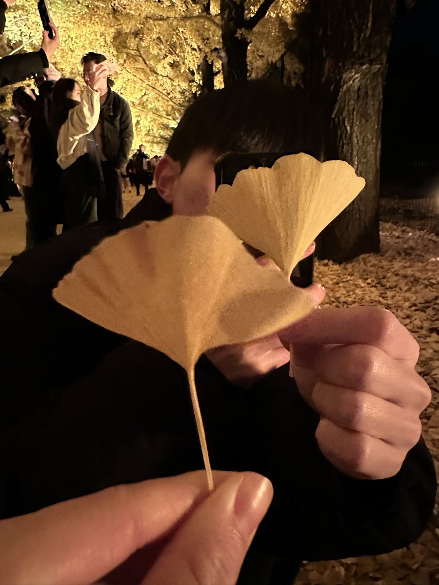 デートしてきた