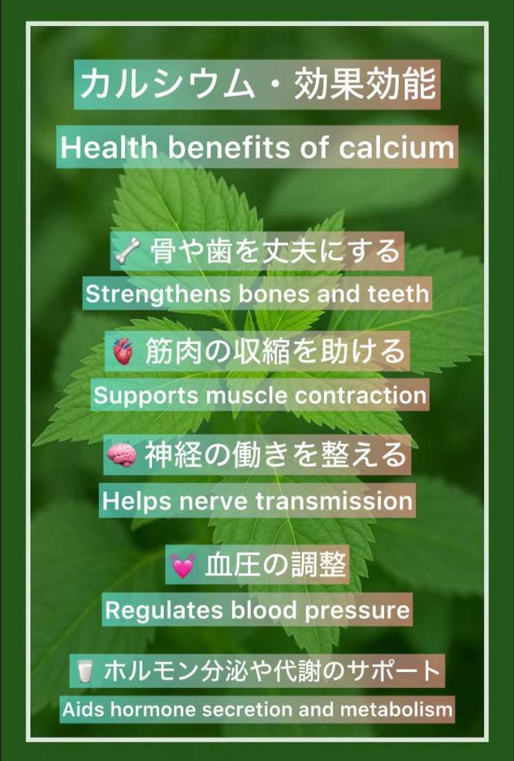 emikurusns's tweet photo. #スッキリ恵みの青汁粒
#青汁粒#小粒サプリメント
#食物繊維
#健康
#モロヘイヤ
#免疫力アップ
#食事
#美容
#便秘
#腸活
#インナーケア
#Molokhia
 #MOLOKHIA
#Superfood #HealthyLiving #Wellness #NaturalSupplements #HerbalSupplements #Nutrition #PlantBased #ImmunityBoost #HealthyLifestyle https://t.co/m8Jbt14Ow2