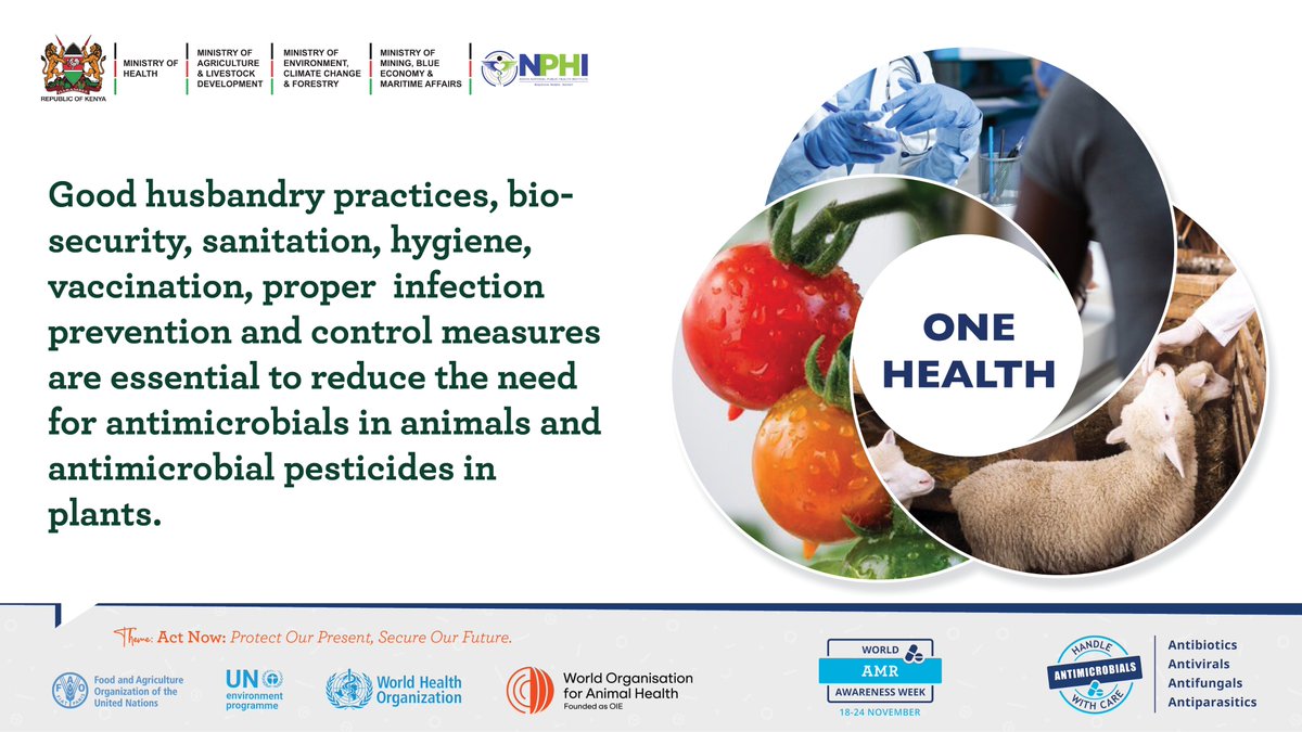 Practice good hygiene to prevent drug-resistant
microbes!
Wash hands before cooking, keep food areas clean, and ensure proper waste treatment.
Small steps make a big difference!
#AntimicrobialResistance #WAAW2025 #HandlewithCare <a href="/MOH_Kenya/">Ministry of Health</a> <a href="/VetBoardKE/">KENYA VETERINARY BOARD</a> <a href="/WHOKenya/">WHO Kenya</a> <a href="/ReActAfrica_RAN/">ReAct Africa Network (RAN)</a>