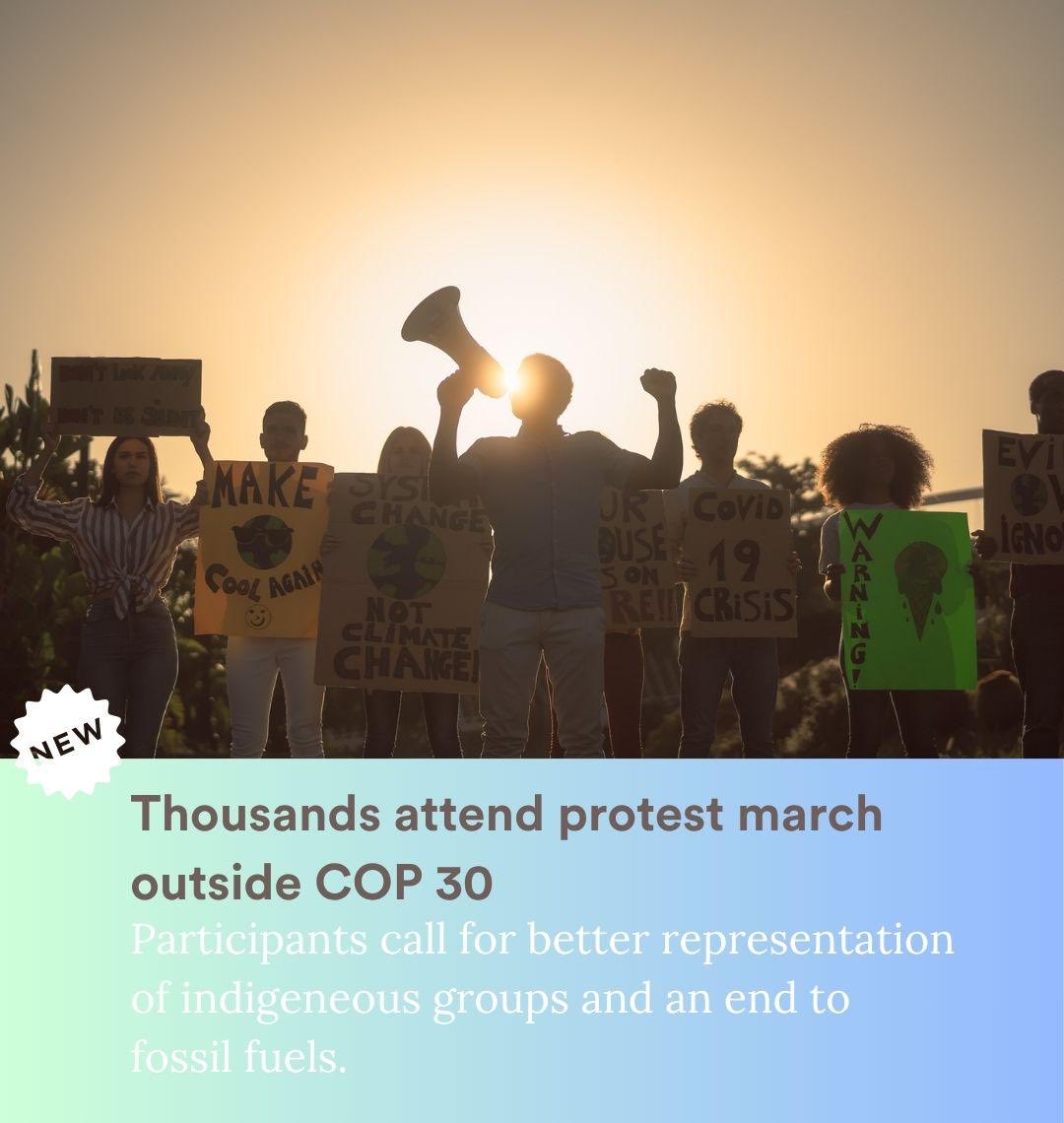 Animal Politics Foundation - Party for the Animals tweet media