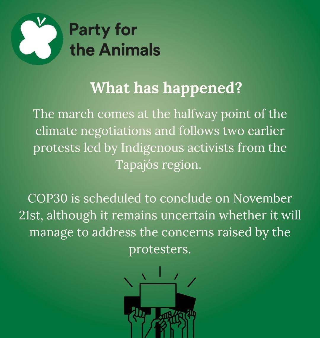 Animal Politics Foundation - Party for the Animals tweet media