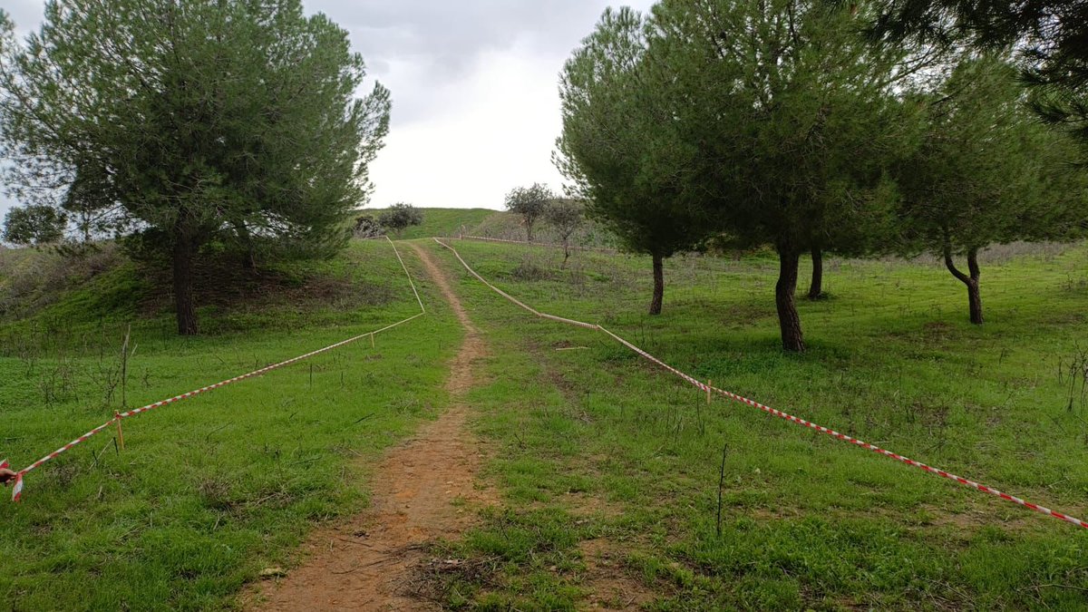 ElVisoDelAlcor_'s tweet photo. 🚴‍♂️ Recuerda que este domingo 23 de noviembre tendrá lugar la BTT Rally Circuito Provincial de Diputación de Sevilla. La entrega de dorsales será de 8:30 a 9:30 horas de la mañana. Las pruebas comenzarán a las 10:00 horas. https://t.co/HlT7Y8H9oG