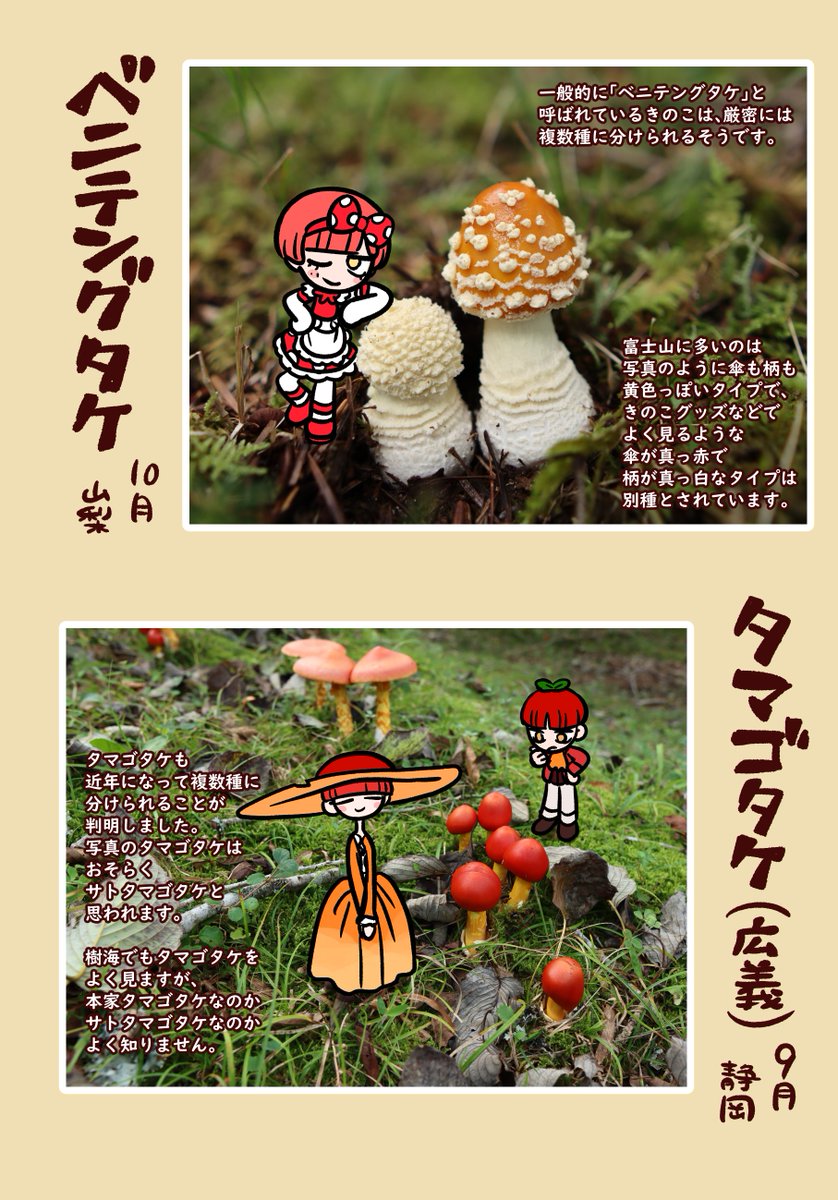 11/24(月)開催のCOMITIA154では、このようなフリーペーパーを頒布予定です🍄
あとはポストカード数種類と、時間があればミニ原画なども置けたらいいな～と思っています
よろしくお願いします!
#COMITIA154 #コミティア154 #どくもり 