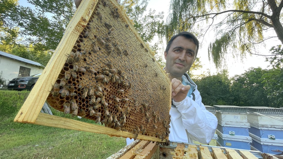 TurkiyePD's tweet photo. Türkiye’s flavors now know no borders! 🌍
Yenice Linden Honey 🍯 has claimed its place on tables worldwide with its European Union #geographicalindication registration.
Türkiye’s gastronomic heritage continues to shine on the global stage! ✨

Credit: Anadolu Images https://t.co/KXo9T1K0Y7